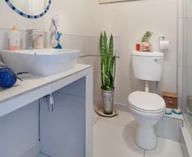 Zo vaak hoor je per dag eigenlijk te plassen