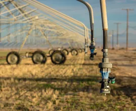 California's 'extreme drought' almost eliminated due to excessive rainfall