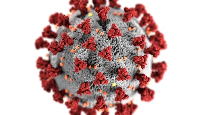 Dit is alles wat we nu weten over de mutatie van het coronavirus 