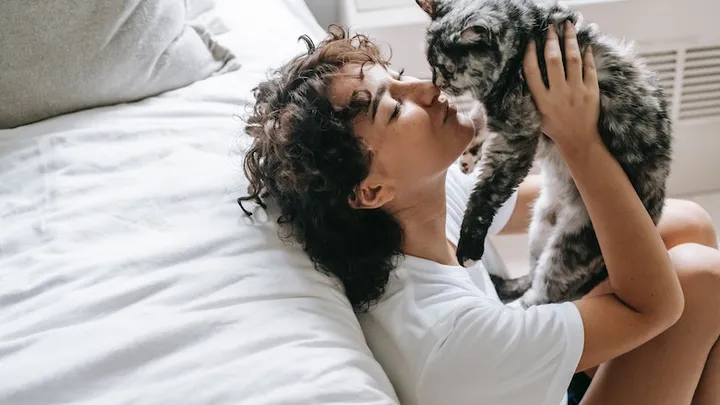 ‘Katten zien hun eigenaren daadwerkelijk als ouder’
