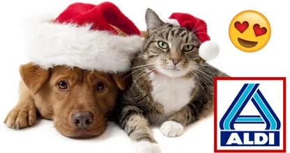 WOW: ein neuer echt genialer Weihnachtsartikel speziell für Haustiere von Aldi!