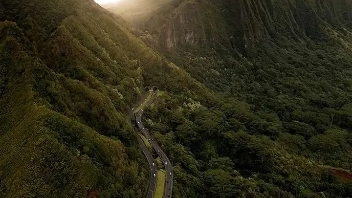 Esses trabalhadores encontraram uma cobra gigante - você não vai acreditar no que eles encontraram dentro dela!