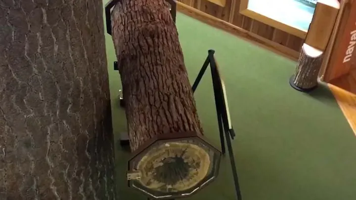 Holzfäller finden seltsame Kreatur in hohlem Baum