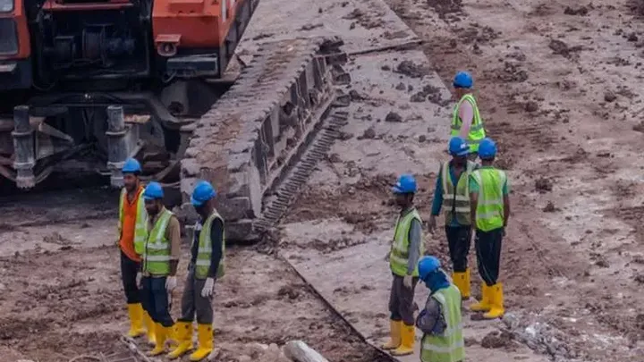 Ci pracownicy znaleźli gigantycznego węża - nie uwierzysz, co znaleźli w środku!