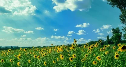 Het weer in september: krijgen we nog een mooie nazomer?