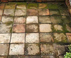 Clean Your Garden Tiles in No Time at All!