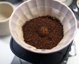 Coffee Filter Left Over? Then Use It For Your Flower Pot!