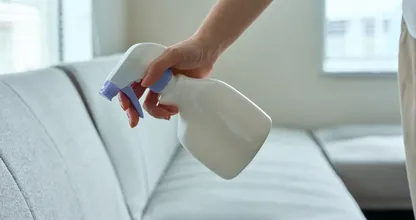 When did you last clean your sofa, and when to use this viral vinegar mix?