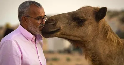 8 histoires étonnantes d’animaux qui se sont vengés des humains