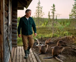 Beavers Surrounds Cabin – What They Build Leaves Owner Speechless