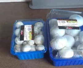 Häh?! Also DAS macht man mit dem Dosendeckel der Champignons!
