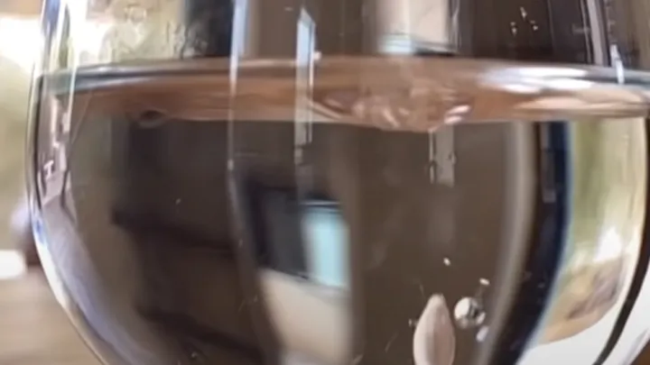 Sie legte einen Zitronenkern in ein Glas Wasser und du glaubst nicht, was passierte!