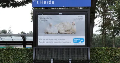 Politieagent verbijsterd over asociale gedrag van deze voorbijgangers, help je mee met zoeken? Delen svp!