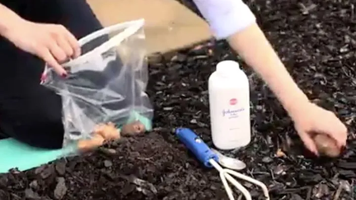 Here's why you should use baby powder in your garden! Genius!