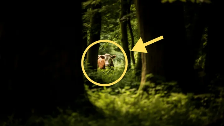 Farmer Finds Missing Cow After 8 Months - When He Gets Closer, He Turns Pale