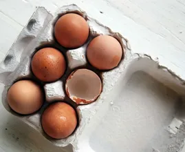 5 reasons to never throw out eggshells again