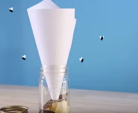 In nur einer Minute gemacht und du wirst Obstfliegen sofort los