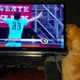 Politiepup Bumper blijkt een voetballiefhebber te zijn en wordt ingeënt, dit moet je echt even zien! Wij smelten!