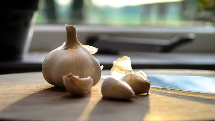 Kann Knoblauch eigentlich schlecht werden? Hier hast du die Antwort
