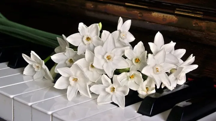 Warning: Police say you should NEVER put an address on a funeral card