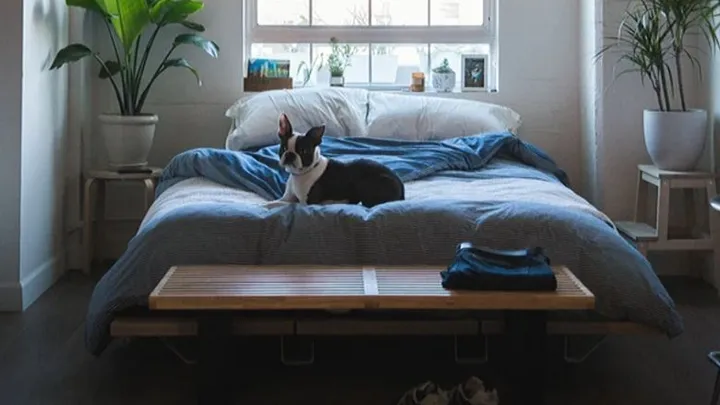 9 dingen die je nooit onder het bed moet bewaren