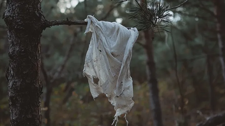 Mann dachte, er hätte einen Welpen im Wald gefunden - als die Tierärztin sie sieht, ruft sie die Polizei