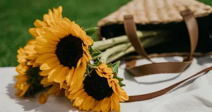 Tips om je zonnebloemen zo lang mogelijk mooi te houden
