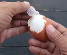 This food scientist explains why fresh eggs are harder to peel — and the 10-day rule that helps