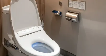 Why Do Japanese People Sit on the Toilet Facing Forward?