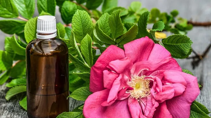 Deshalb gehört ein Fläschchen Rosenwasser in jede Schönheitspflege!