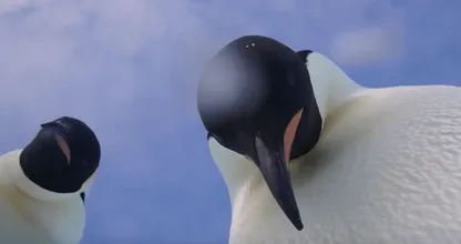 Te schattig: nieuwsgierige pinguïns vinden camera en maken dít filmpje