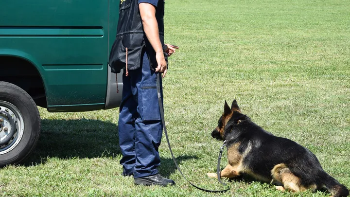 Un chien policier à la retraite fait une découverte intéressante avec l’aide de son propriétaire