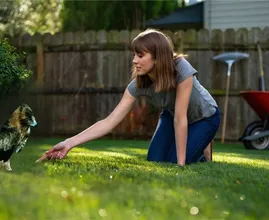Baby Eagle Found in Backyard Turns Out to Be Something Else Entirely