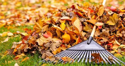 Dieser super Sommer ist bald wieder vorbei. Wie bekommst du deinen Garten herbsttauglich? Befolge diese Tipps.