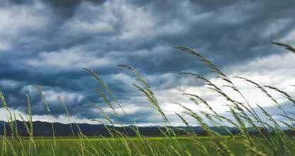 Code geel in meeste delen van Nederland door harde windstoten