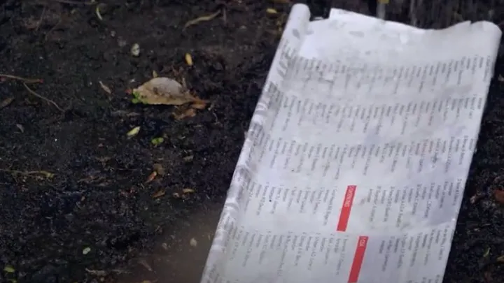 Oto dlaczego ludzie wykładają ogród starymi gazetami 