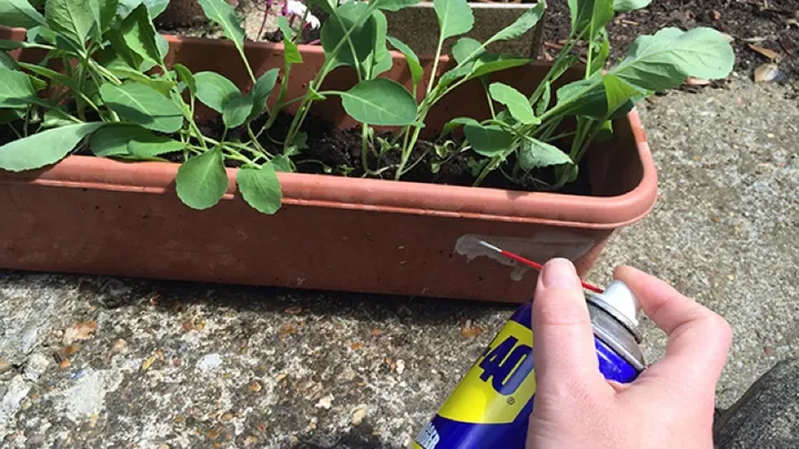 ¿Ya conoces este aerosol azul? Se llama WD-40. ¡Es nada menos que un milagro envasado en una lata!