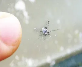 ¿Tienes una grieta en tu parabrisas? ¡Prueba este simple truco!