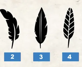 Test: The feather you choose says a lot about your personality! Which feather do you prefer?
