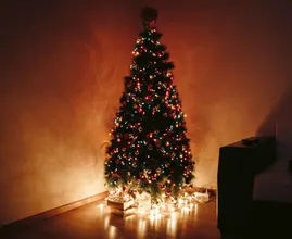 Dit is het beste moment om een kerstboom te kopen!