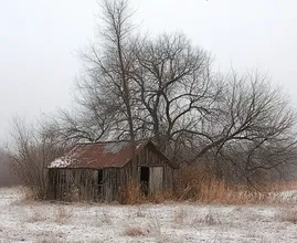 This Divorced Man was Forced to Live In an Old Shed - Don't Judge Until You See The Interior!