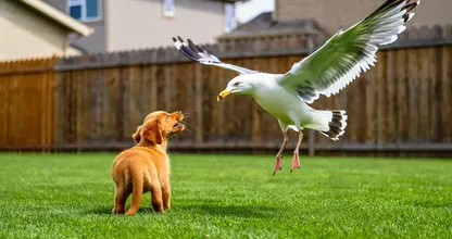 Möwe schnappt sich Welpen aus dem Garten – Was die Nachbarn entdecken, wird dich umhauen!