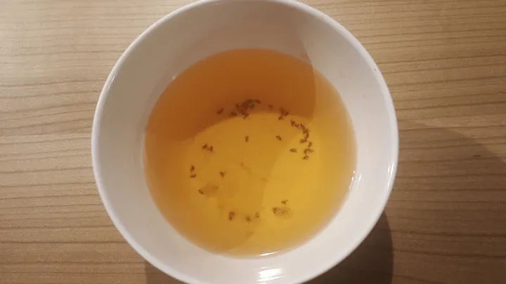 Last van fruitvliegjes? De oplossing heb je al in je keukenkastje liggen!