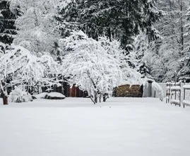 Zit een witte kerst er nog in? Dít weer kunnen we deze week verwachten