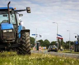 Onthullingen stikstofberekeningen: gericht uitkopen was óók een optie