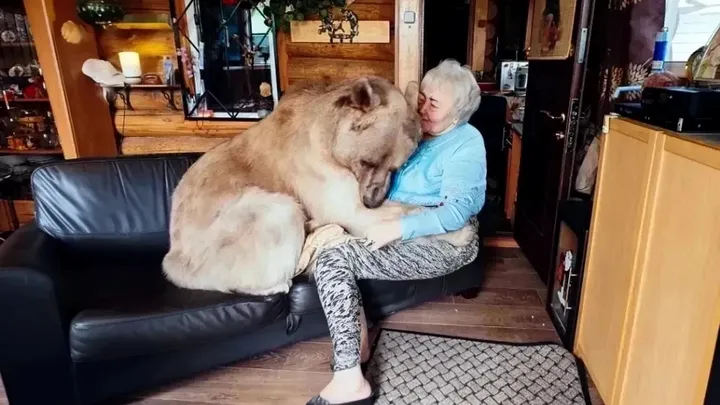 Diese ältere Dame lebt zusammen mit einem Braunbäre