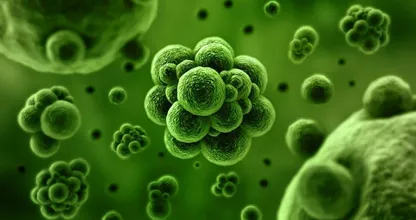 Gadver! Dit zijn de meest vieze plekken vol met bacteriën en jij gebruikt het nu!