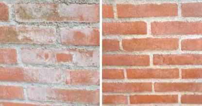 Tem manchas brancas na parede de tijolos ou azulejos do jardim? Com este truque você pode facilmente se livrar delas!
