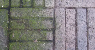 Onkruid verwijderen? Met deze truc duurt het niet lang meer! Super praktisch!