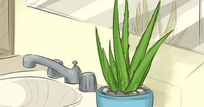Om deze geniale reden moet je planten in je badkamer zetten
